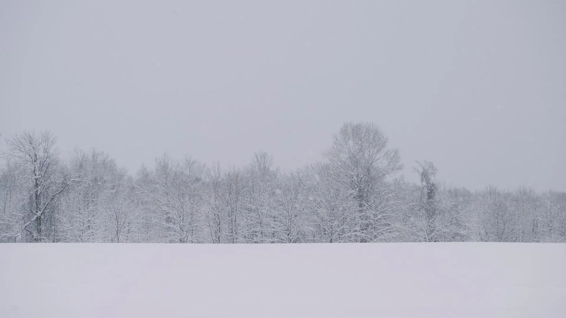 ****  Muwa Niseko Hotel Kutchan Japan